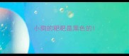 小狗的粑粑是黑色的