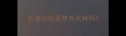 长春边牧是禁养犬种吗