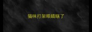 猫咪打架眼睛瞎了