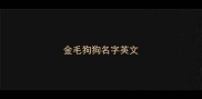 金毛狗狗名字英文