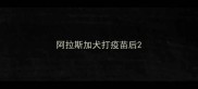 阿拉斯加犬打疫苗后