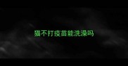 猫不打疫苗能洗澡吗