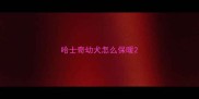 哈士奇幼犬怎么保暖