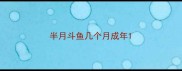 半月斗鱼几个月成年