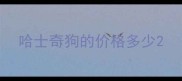 哈士奇狗的价格多少
