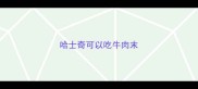 哈士奇可以吃牛肉末