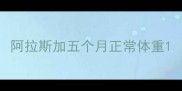 阿拉斯加五个月正常体重
