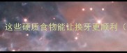 金毛换牙期必看这些硬质食物能让换牙更顺利附正确喂养清单