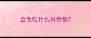 金毛吃什么对骨骼