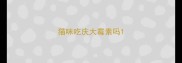 猫咪吃庆大霉素吗