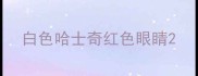 白色哈士奇红色眼睛