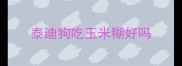 泰迪狗吃玉米糊好吗