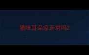 猫咪耳朵凉正常吗