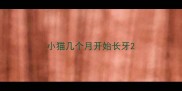小猫几个月开始长牙