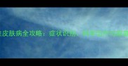 狗狗真菌性皮肤病全攻略症状识别科学治疗与家庭护理指南