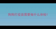 狗狗打疫苗需要做什么体检