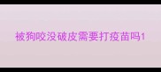 被狗咬没破皮需要打疫苗吗