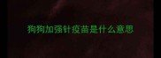 狗狗加强针疫苗是什么意思