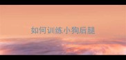如何训练小狗后腿