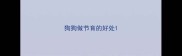 狗狗做节育的好处