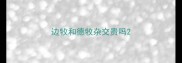 边牧和德牧杂交贵吗
