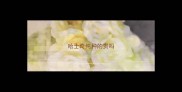 哈士奇纯种的贵吗