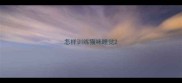 怎样训练猫咪睡觉