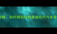泰迪混血犬选购全攻略如何辨别纯种泰迪后代与串串犬的五大核心差异