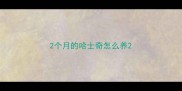 2个月的哈士奇怎么养