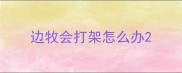边牧会打架怎么办