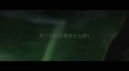 四个月的萨摩长什么样