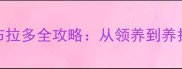 新手必看拉布拉多全攻略从领养到养护的保姆级指南