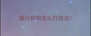 满月狗狗怎么打疫苗