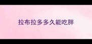 拉布拉多多久能吃胖