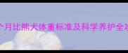 三个月比熊犬体重标准及科学养护全攻略