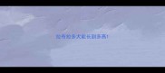 拉布拉多犬能长到多高