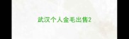 武汉个人金毛出售