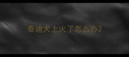 泰迪犬上火了怎么办