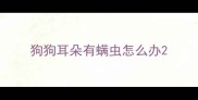 狗狗耳朵有螨虫怎么办