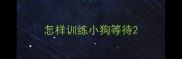 怎样训练小狗等待