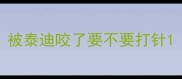 被泰迪咬了要不要打针