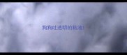 狗狗吐透明的粘液