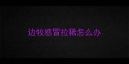 边牧感冒拉稀怎么办