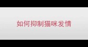 如何抑制猫咪发情