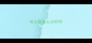 哈士奇怎么分好坏
