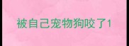 被自己宠物狗咬了