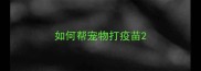 如何帮宠物打疫苗
