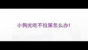 小狗光吃不拉屎怎么办