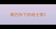 尾巴向下的哈士奇