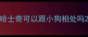 哈士奇可以跟小狗相处吗